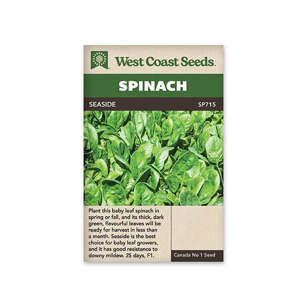 Spinach Seeds Seaside F1
